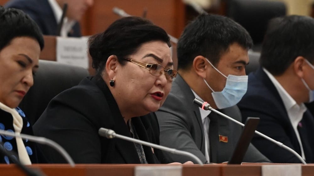 Закон об НКО, жалоба на СМИ, дискриминация сирот, запрет TikTok – чем известна Надира Нарматова? изображение публикации