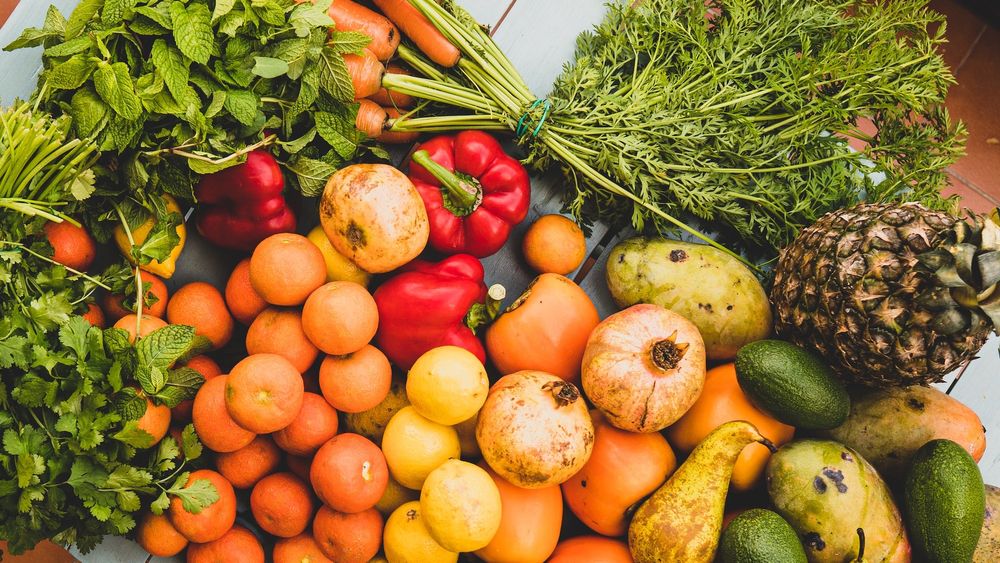 Оборот сельхозпродукции КР с КНР за январь-август превысил $55 млн изображение публикации