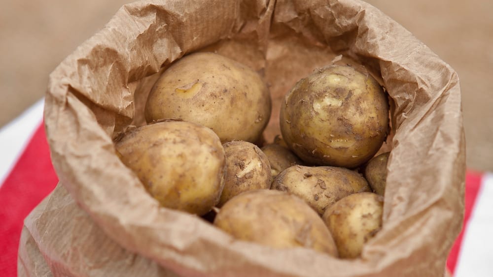 Картофель из Кыргызстана будут поставлять в Самарканд изображение публикации