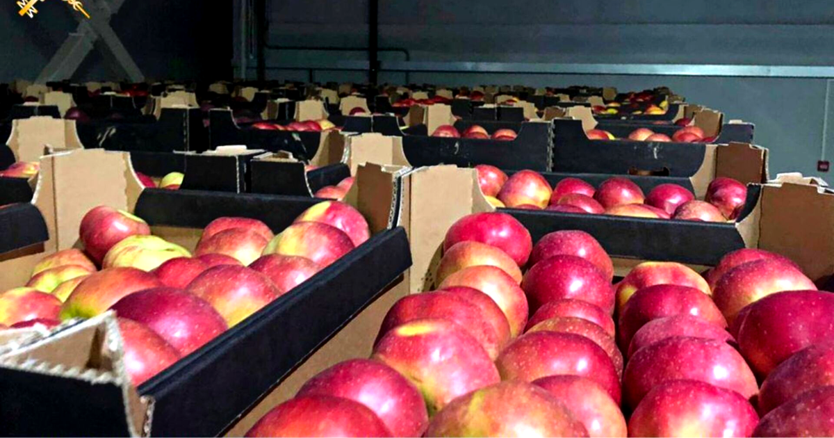 На границе КР задержали контрабанду – за нее не уплатили более 9 млн сомов таможенных платежей изображение публикации