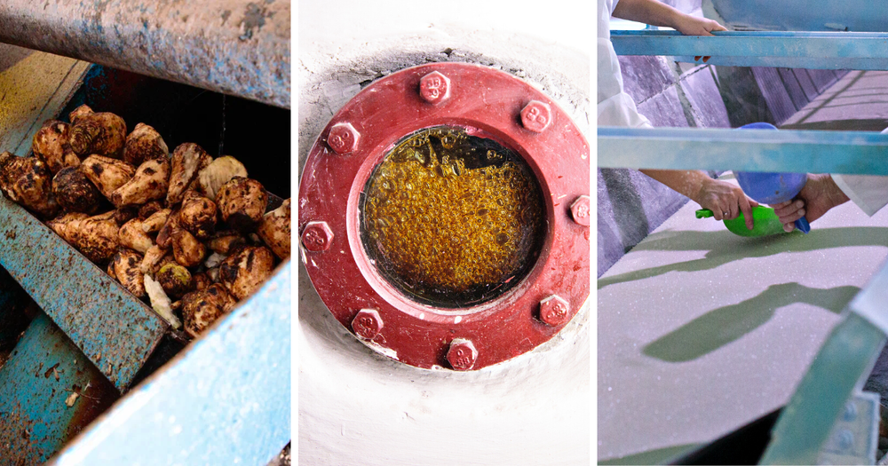 Как в Кыргызстане производят сахар из свеклы – фото с завода "Кошой" изображение публикации