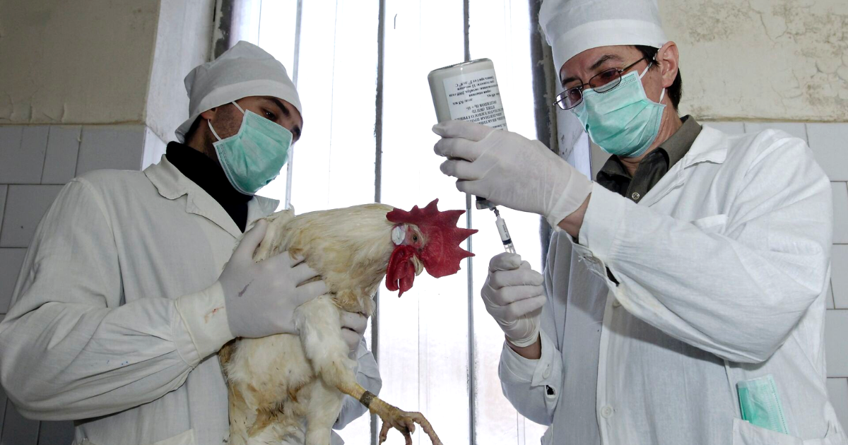 Финансирование Ветеринарной службы в этом году увеличилось в два раза изображение публикации