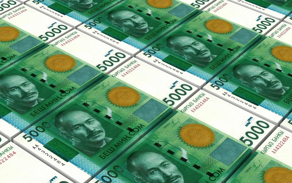 За девять месяцев 2023 года доход от платных госуслуг в КР вырос на 21% изображение публикации