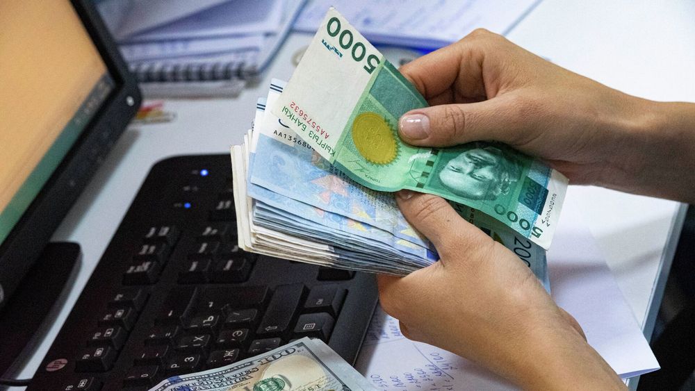 Численность кыргызстанцев, охваченных микрокредитами, увеличилась на 12% – это более 533 тысяч граждан изображение публикации