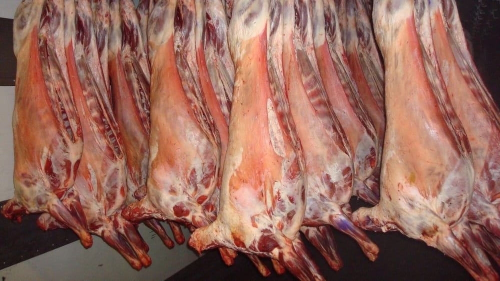 Каким будет Кыргызстанский халал-парк - в Нарыне презентовали ТЭО проекта изображение публикации