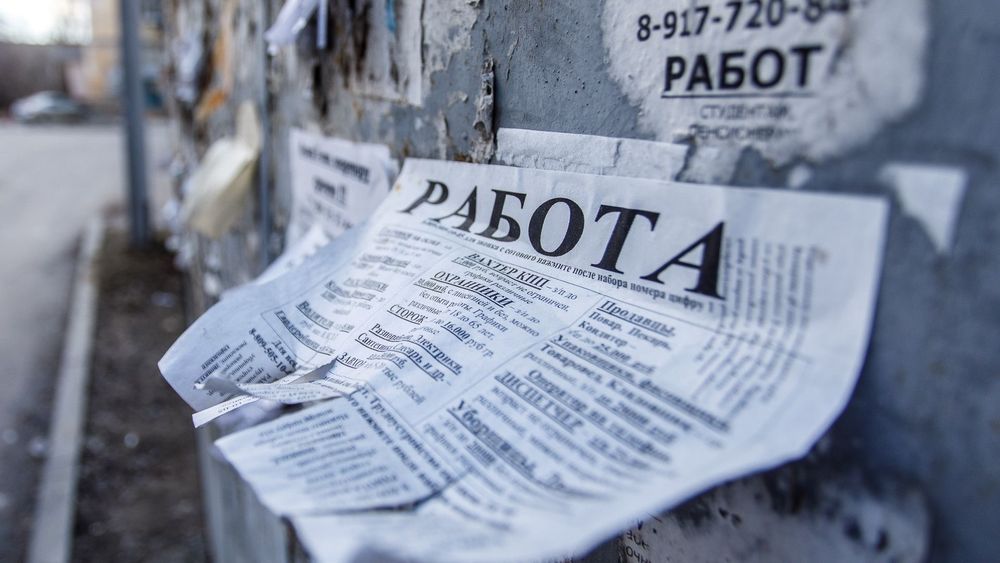 В Кыргызстане число официальных безработных уменьшилось на 7.2% изображение публикации