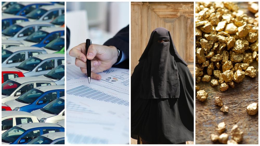 Иск аэропорту, карбоновые фермы, золото Чакуша, инициативы Минэконома, штраф за бороды и паранджу — итоги недели от Economist.kg изображение публикации