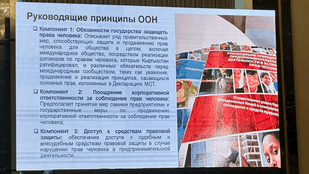 В Бишкеке прошел круглый стол по защите прав человека в бизнесе изображение публикации