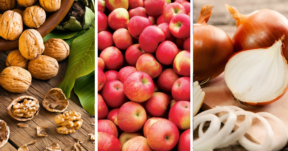 За 11 месяцев Кыргызстан экспортировал 817 тысяч тонн сельхозпродукции изображение публикации