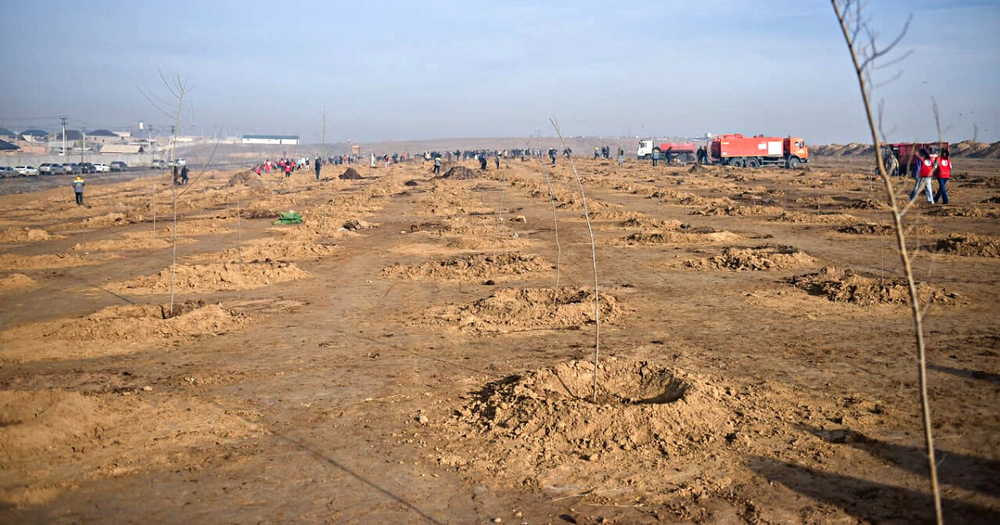 На потушенном мусорном полигоне создадут лесополосу из 850 деревьев – фото изображение публикации