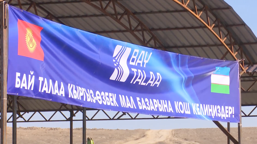 Ала-Букинские фермеры смогут экспортировать скот в Узбекистан изображение публикации