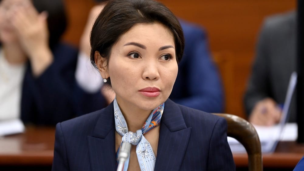 Кабмин не должен перекладывать ответственность за свои недостатки на владельцев рынков — Эльвира Сурабалдиева изображение публикации