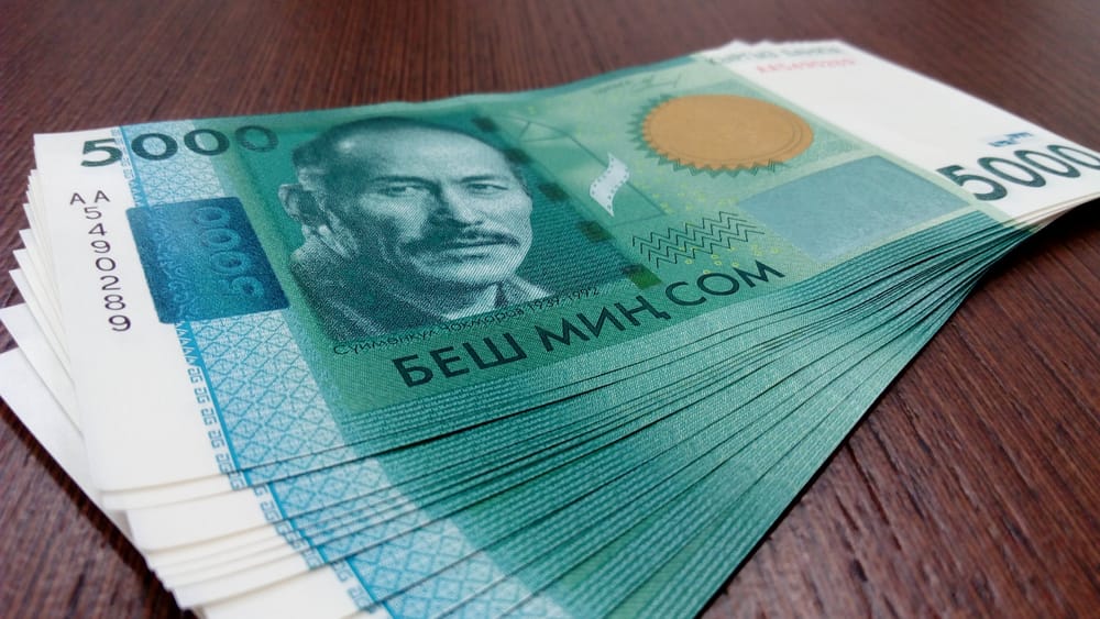 Более 400 кыргызстанцев получают пенсию свыше 50 тысяч сомов изображение публикации