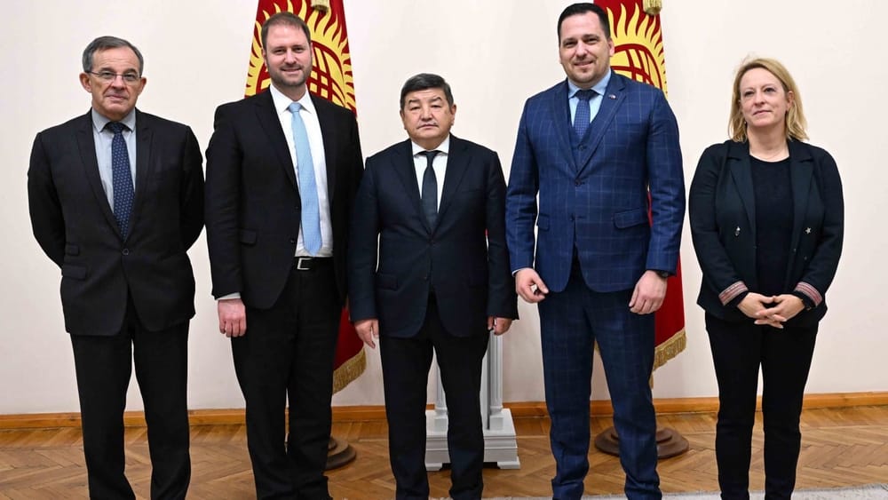 Кыргызстан предложил ЕС инвестировать в ВИЭ и добычу металлов — Европарламент на инициативу не отреагировал изображение публикации