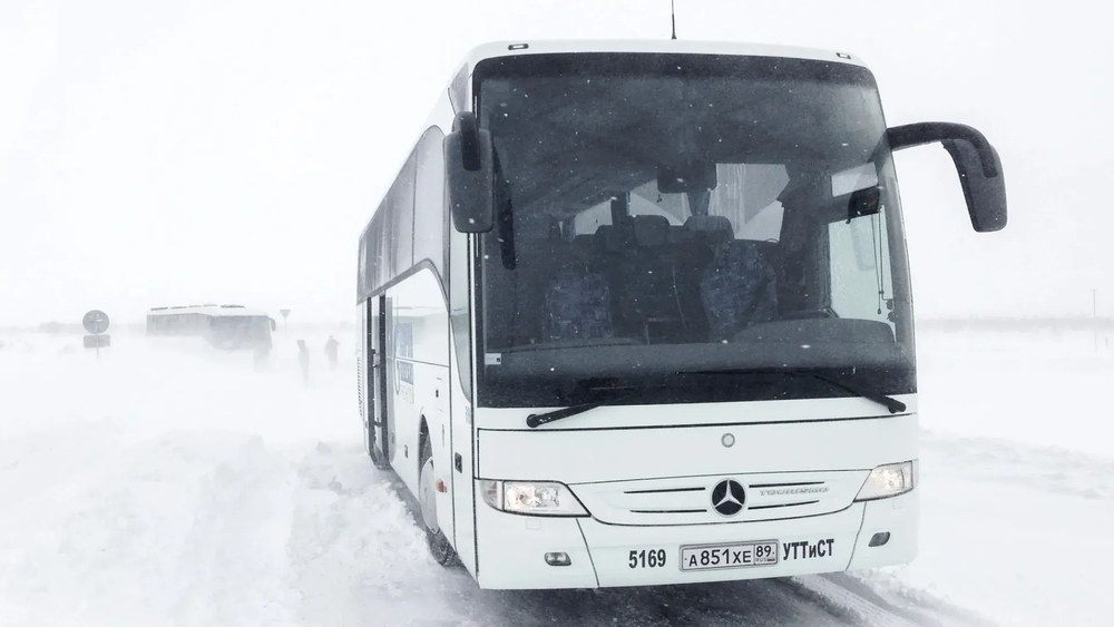 Автобусные рейсы из Тюмени в Бишкек отменены на неделю изображение публикации