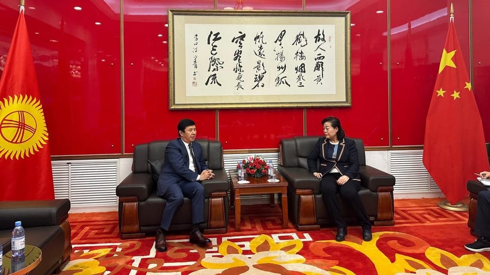 Китай готов упростить выдачу виз для некоторых бизнесменов из Кыргызстана изображение публикации