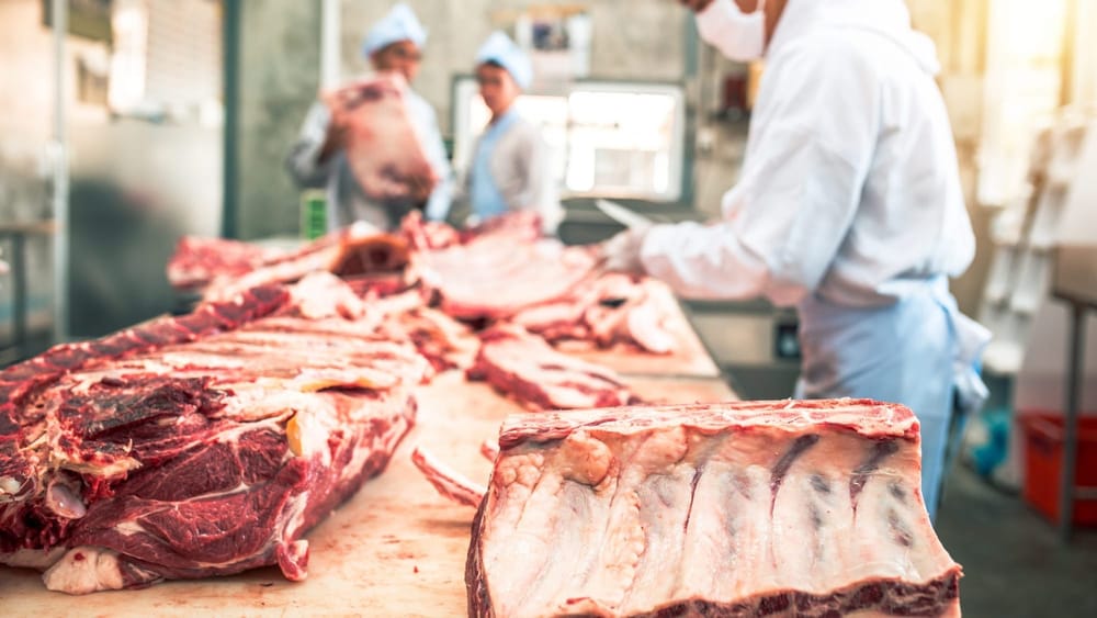 Опасная еда: в Кыргызстане почти 30% скотобоен не соответствуют санитарным нормам изображение публикации