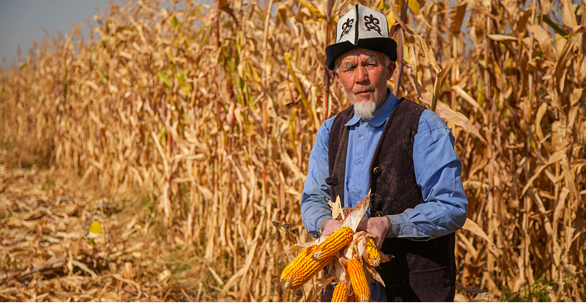 Фермерам Кыргызстана с февраля начнут выдавать льготные кредиты изображение публикации
