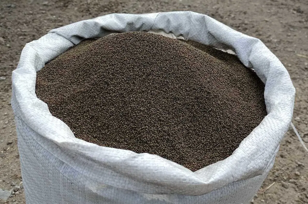 В Кыргызстан из Казахстана пытались ввезти 22 тонны семян люцерны — груз вернули отправителю изображение публикации