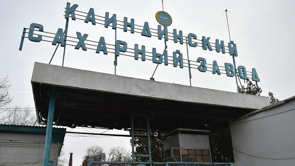 "Каинды-Кант" по итогам 2022 года выплатил 174.5 млн сомов дивидентов изображение публикации