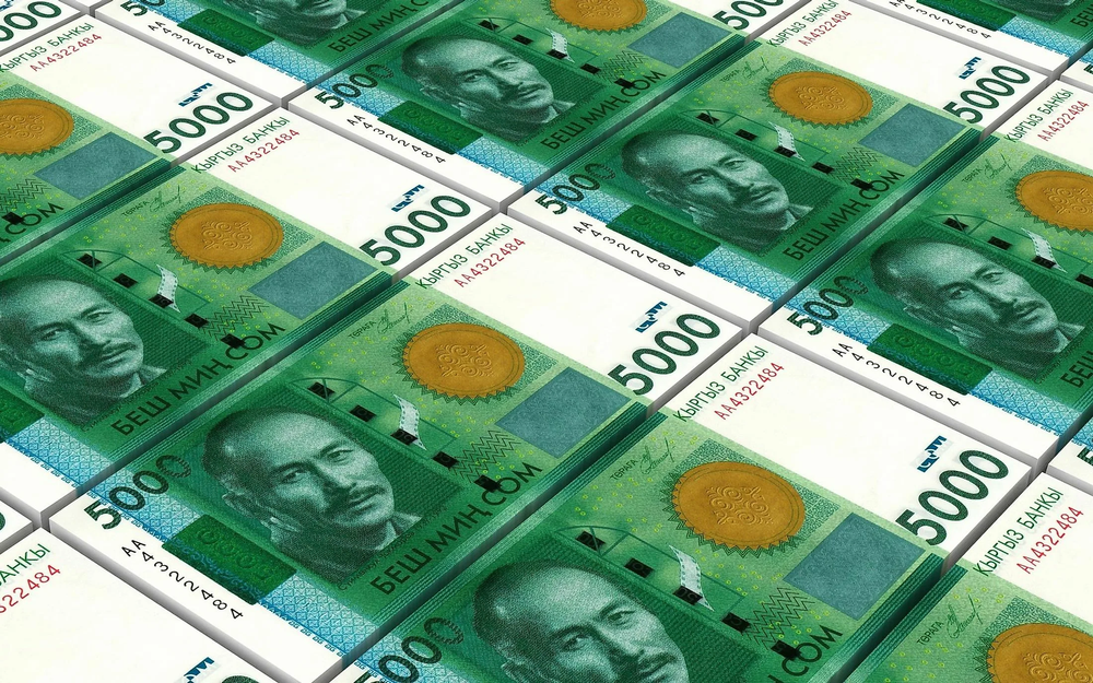 Доход от инвестирования средств Пенсионного фонда по итогам 2023 года превысил 4.3 млрд сомов изображение публикации