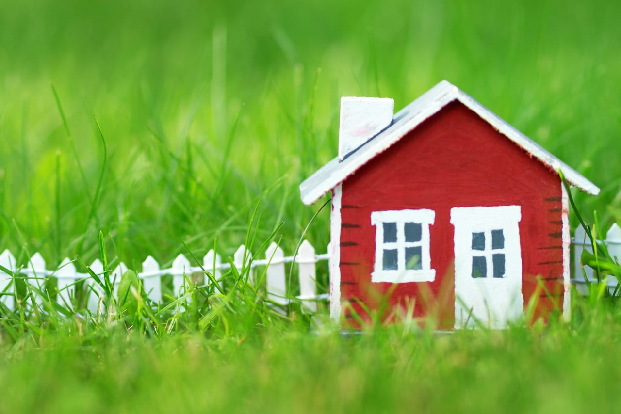 Сколько кыргызстанцев подали заявления на земельную амнистию и получили документы? Статистика изображение публикации