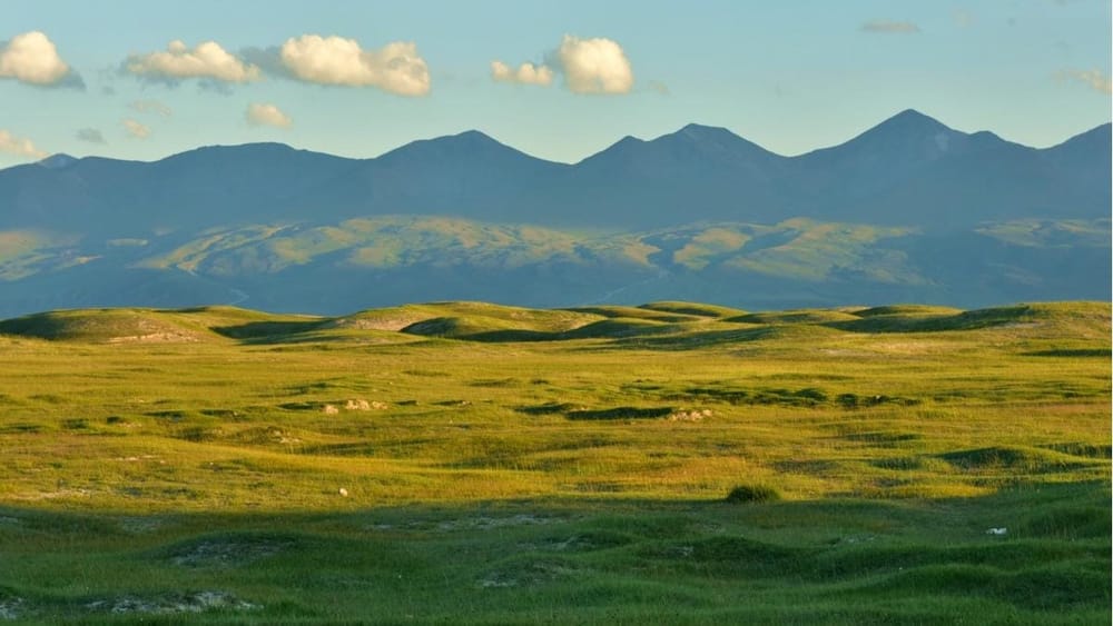 В 2023 году сборы за использование пастбищ в КР выросли на 50.6 млн сомов изображение публикации