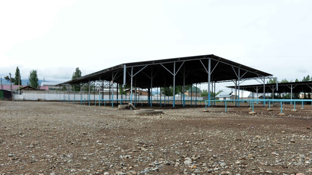 В Кара-Балте закрыли скотный рынок "Эркин" изображение публикации