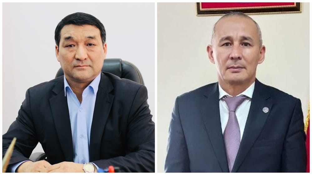 Освобождены от должности директор и замглавы Госагентства по управлению госимуществом изображение публикации