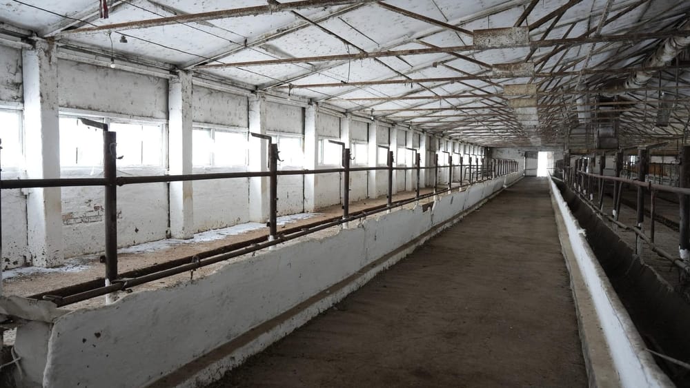 Кыргызский государственный племенной завод перестроят изображение публикации