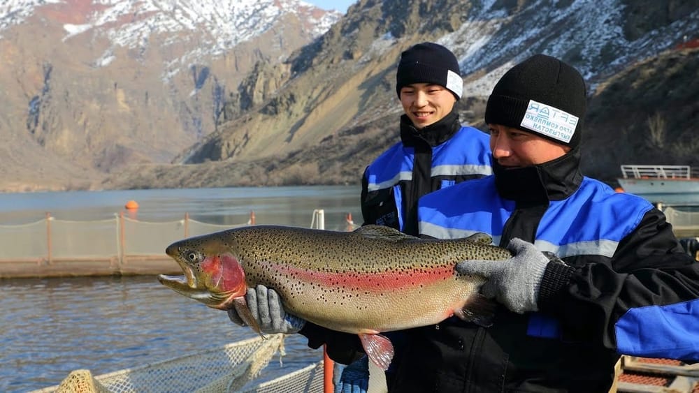 Колбаса, рыба, мед – сколько продукции Кыргызстан экспортировал в прошлом году? изображение публикации