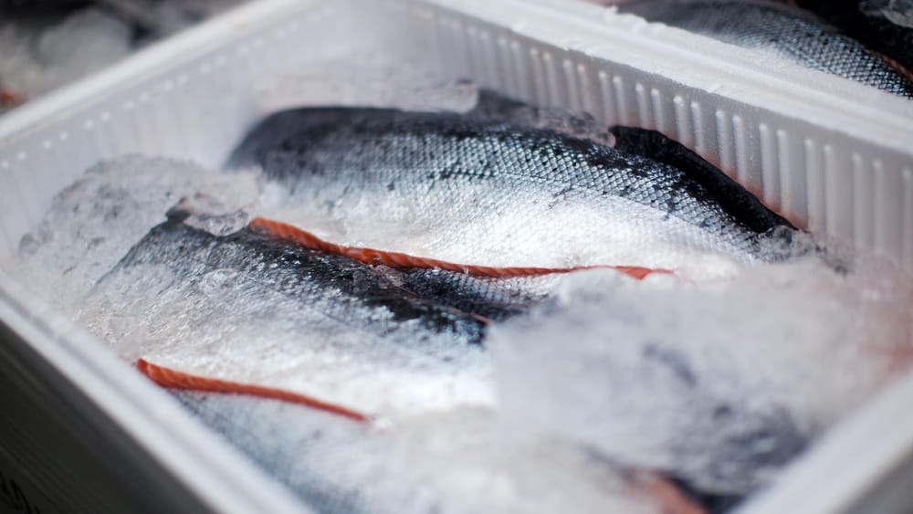 Пограничники КР пресекли незаконный ввоз 21 тонны рыбы из России изображение публикации