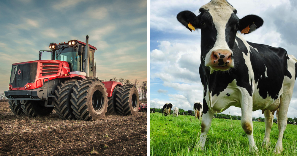 Фермеры Ошской области закупили технику и породистых коров на 43 млн сомов изображение публикации