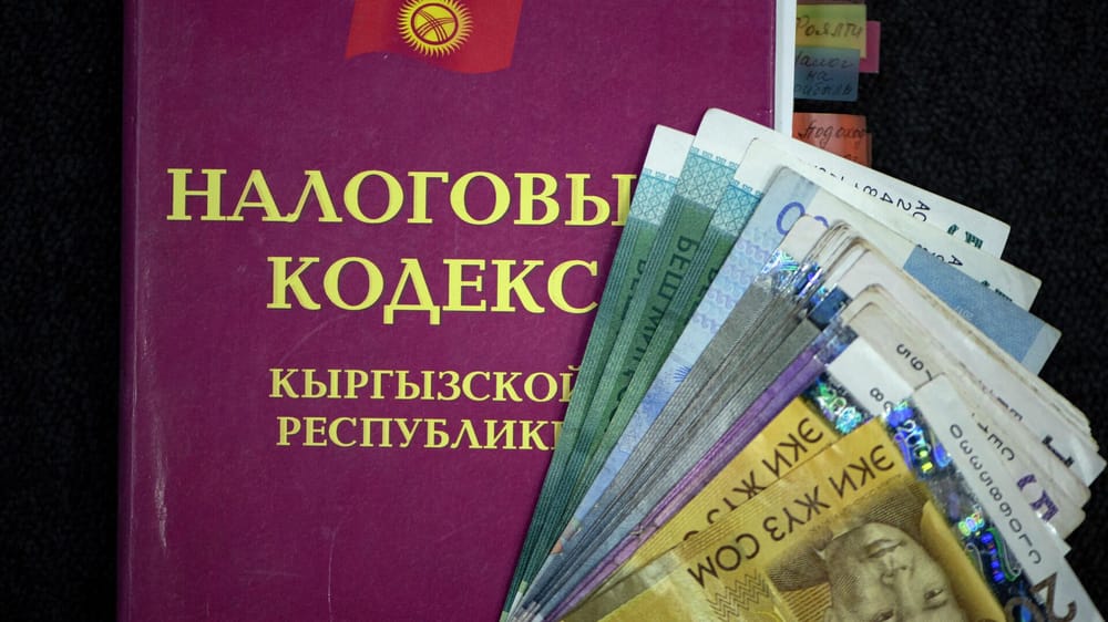 Все об общем налоговом режиме в Кыргызстане – кто должен платить и сколько изображение публикации