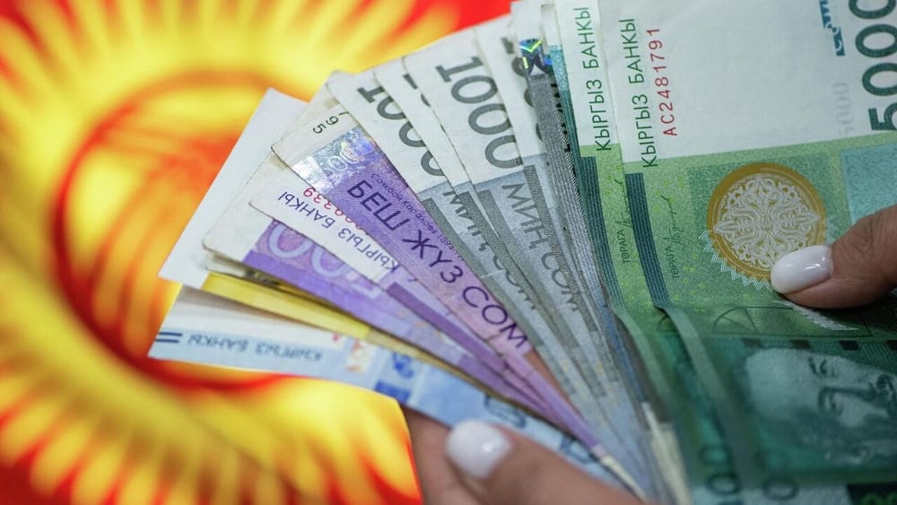 На выплату госдолга в следующем году направят 66 млрд сомов изображение публикации