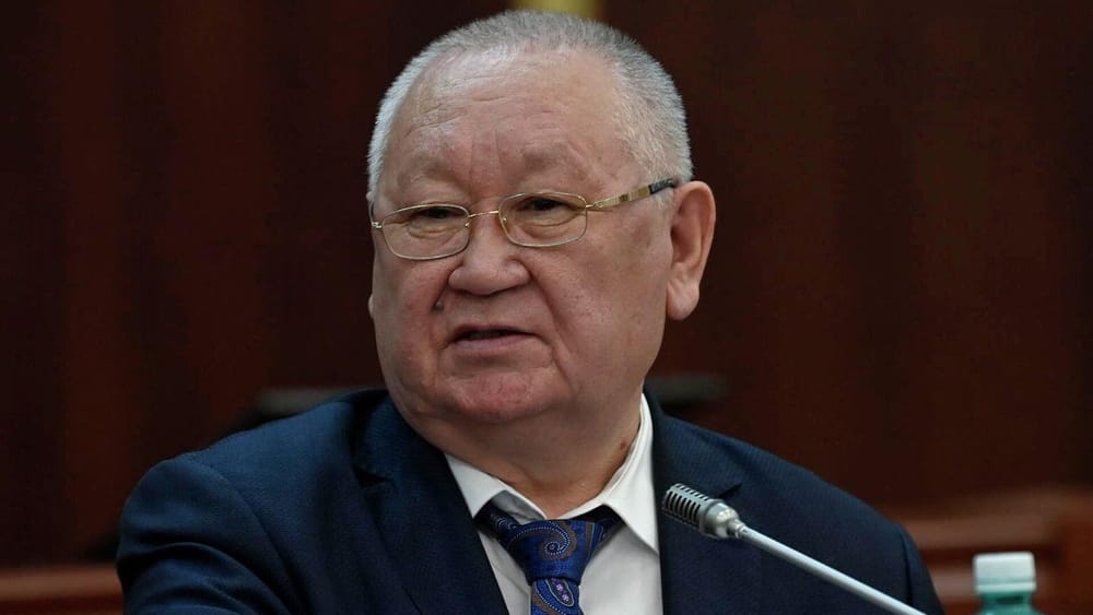 На перевод и создание мультфильмов на кыргызском языке необходимо 50 млн сомов – глава Нацкомиссии изображение публикации