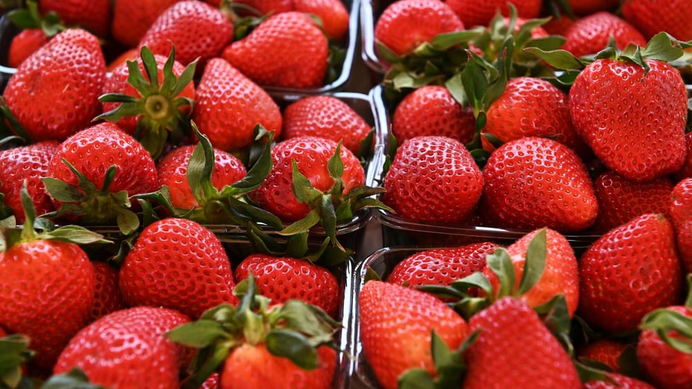 Власти КР хотят выделить почти 2 млрд сомов на льготные кредиты садоводам изображение публикации