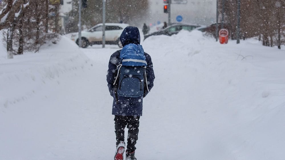Уроки по 30 минут – как будут учиться школьники Бишкека в ближайшие дни изображение публикации