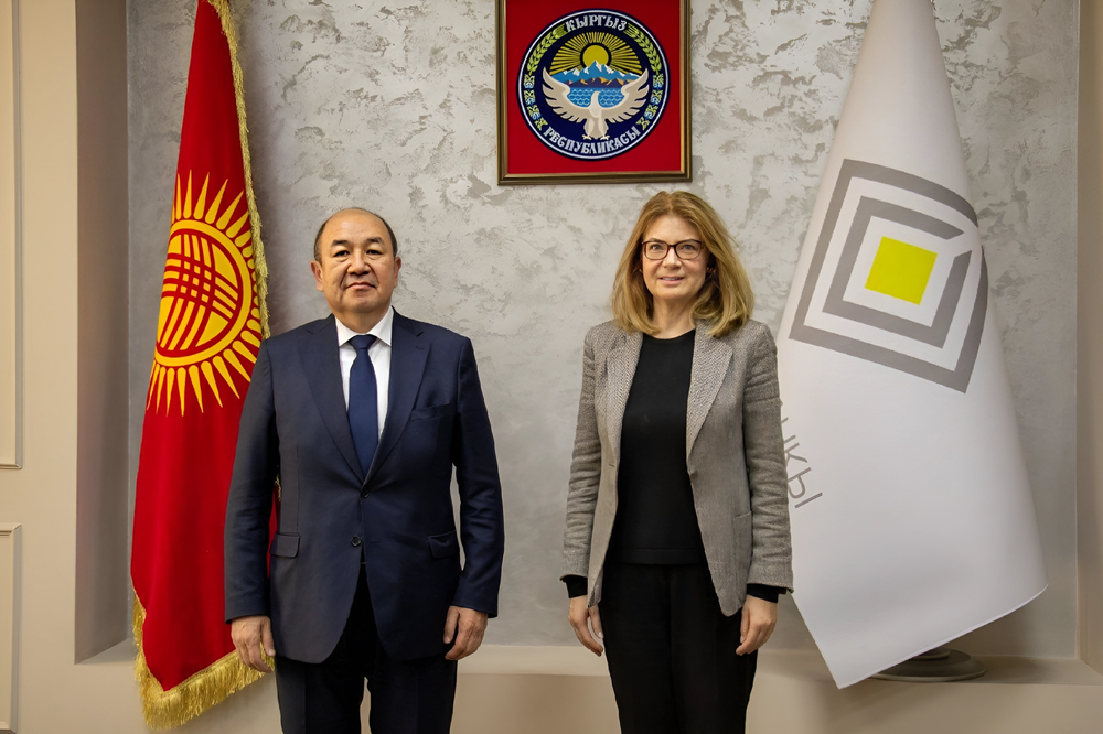 Нацбанк КР и Rothschild & Co обсудили возможности сотрудничества изображение публикации