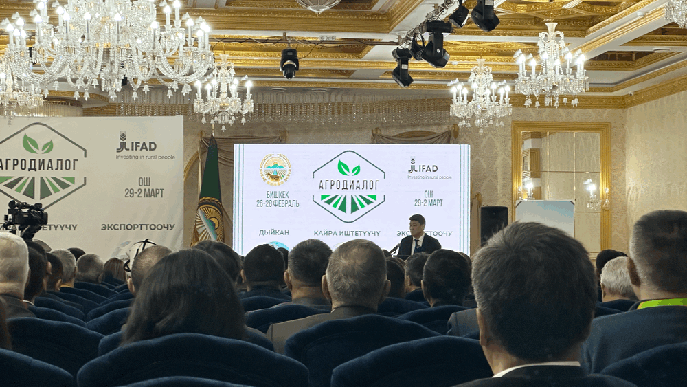 В 2025 году кредитная программа «ФСХ» будет закрыта – Бакыт Торобаев изображение публикации