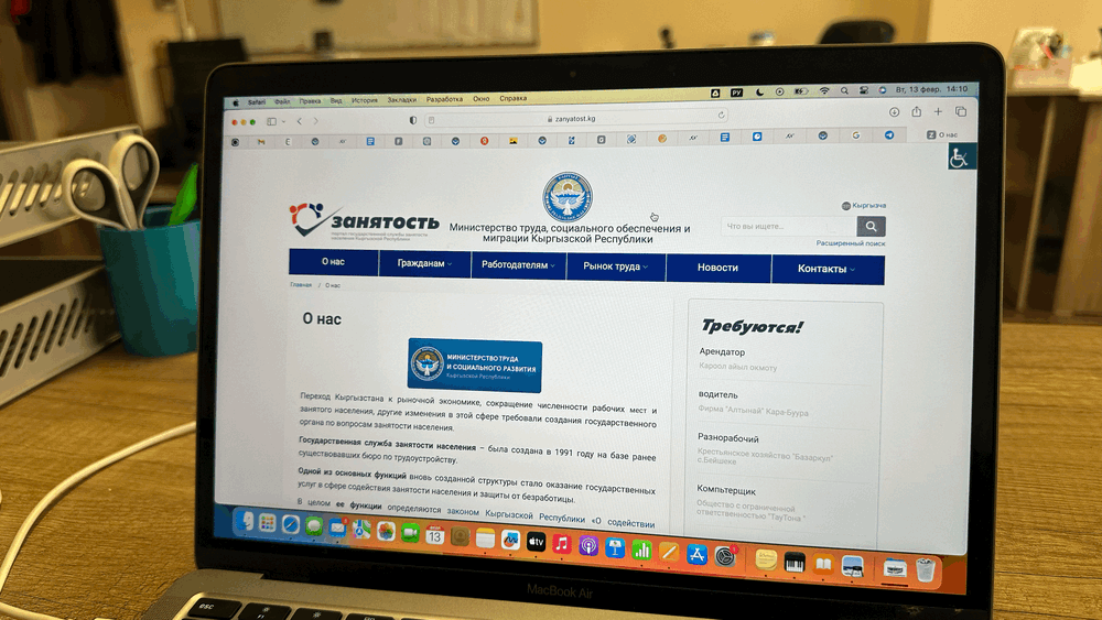 Минсоцтруда запускает новые онлайн-сервисы для поиска работы изображение публикации