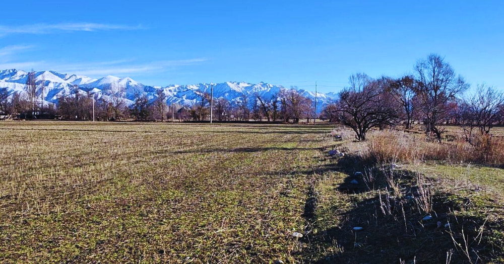 Неосвоенные государственные земли в КР будут отдавать сельхозкооперативам изображение публикации