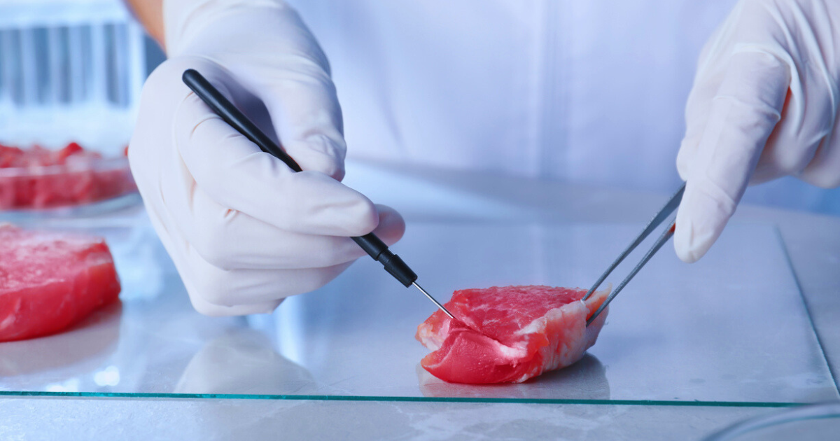 В КР будут выдавать электронные разрешения на перевозку товаров, подлежащих ветконтролю изображение публикации