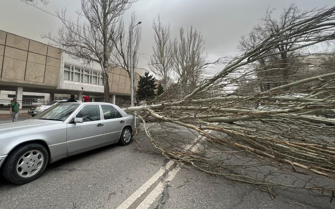 Мэр объявил в Бишкеке режим ЧС в связи с ураганом изображение публикации