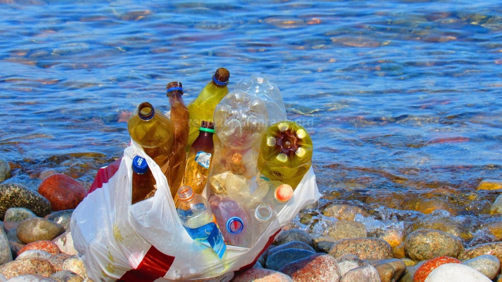 Когда в Иссык-Кульской области начнут штрафовать за полиэтиленовые пакеты и пластиковую посуду? Ответ Минприроды изображение публикации