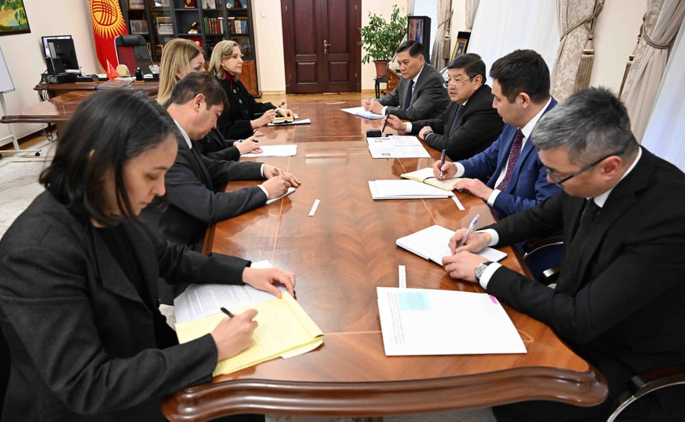 Обмен внешнего долга, трастовый фонд, ЦУР – что обсудил глава кабмина КР с помощником генсека ООН изображение публикации