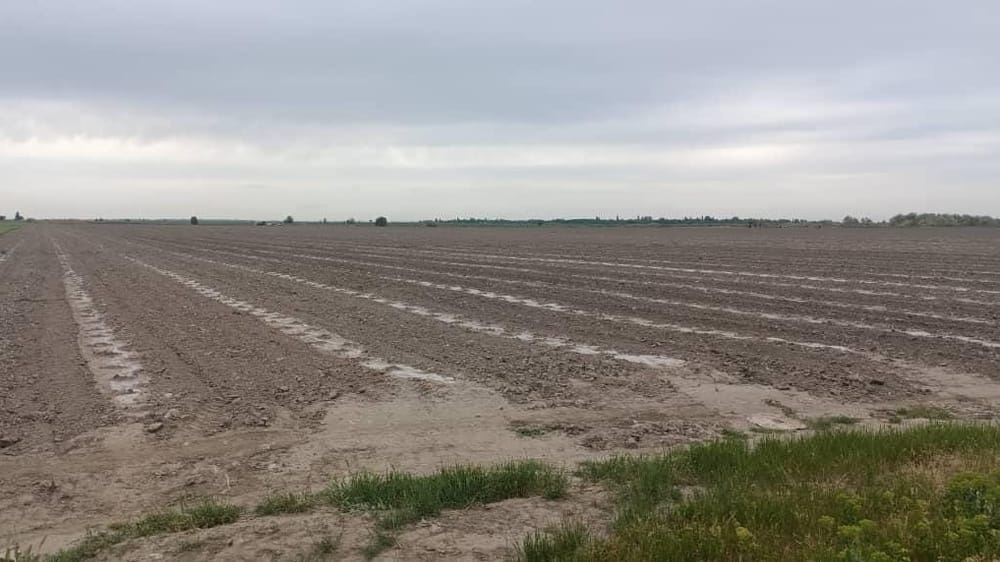 ГКНБ разоблачил земельную мафию в Московском районе изображение публикации