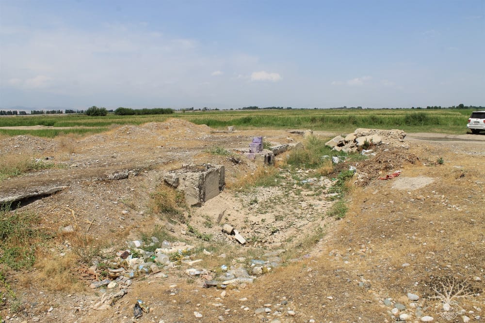 Чуйская область получила 10 тонн семян – они помогут восстановить пастбища изображение публикации