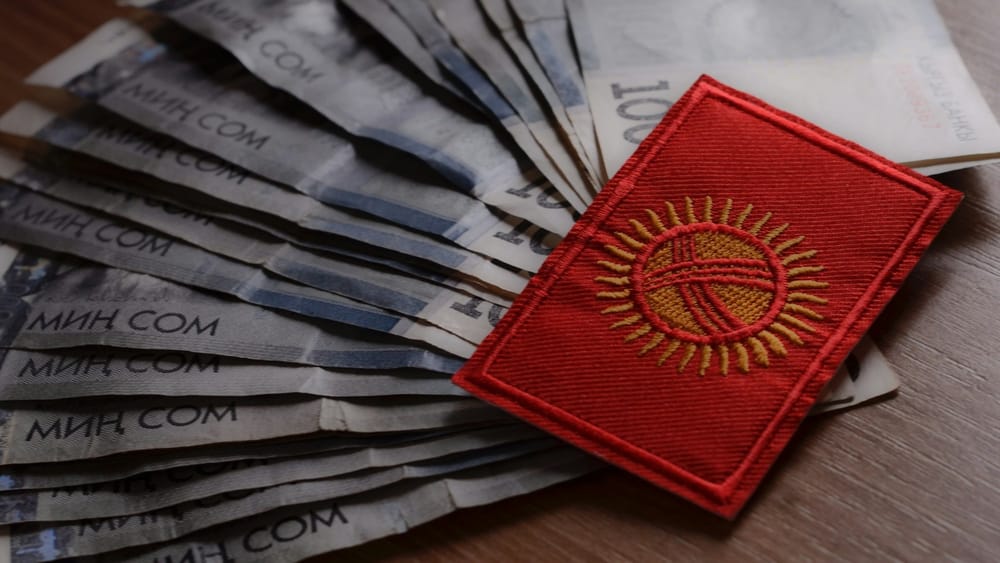 Расходы на социальную защиту в КР в 2024 году составят 62.7 млрд сомов изображение публикации