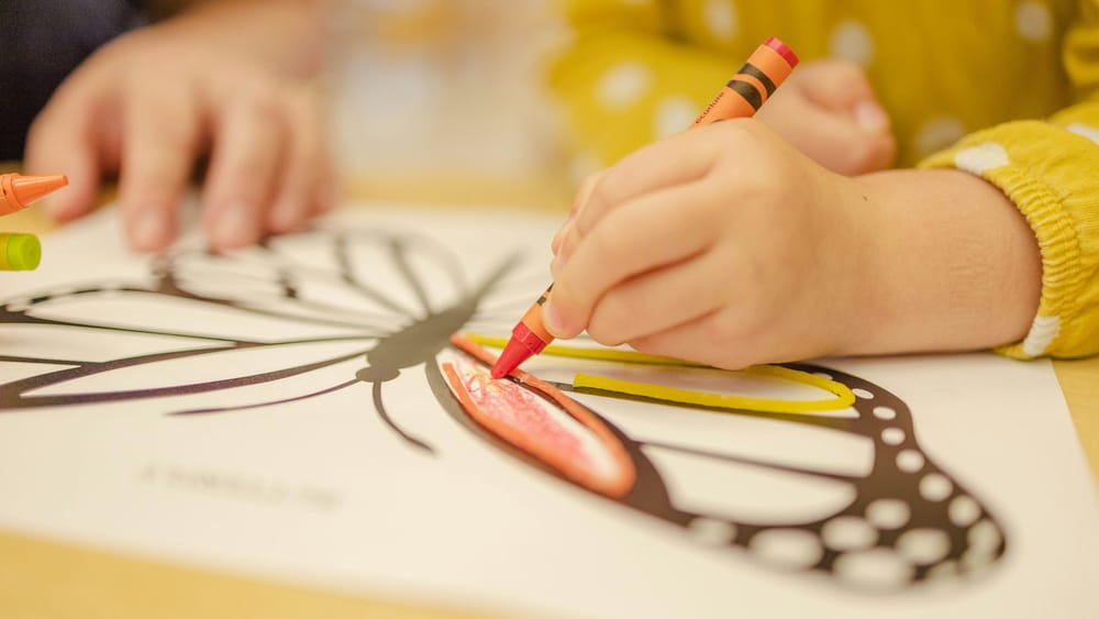 С 1 сентября 2024 года в КР будет запущен ваучерный механизм финансирования образовательных услуг изображение публикации